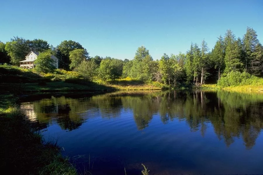 Responsabilidade e Educação Ambiental