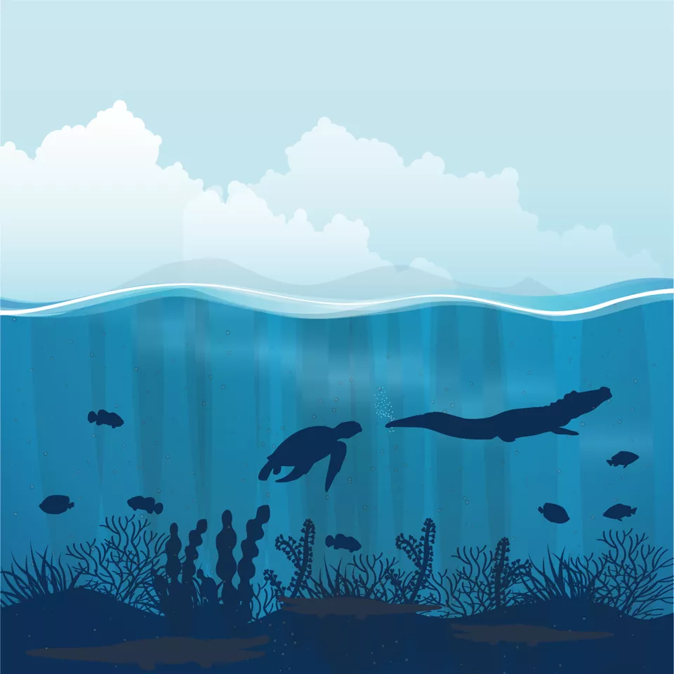 As Principais Leis Ambientais no Brasil