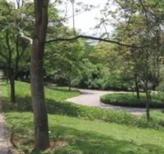 PARQUE ORLA DAS LAGOAS DA TIJUCA