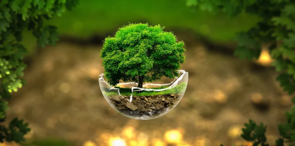 Meio ambiente – 17 leis ambientais do Brasil