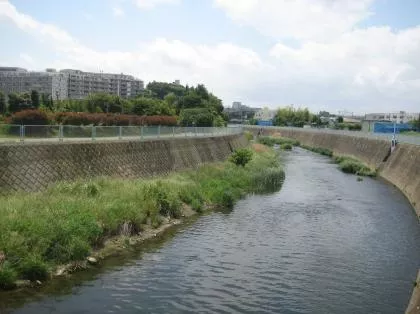 Governo do Rio e Iguá assinam concessão de saneamento básico