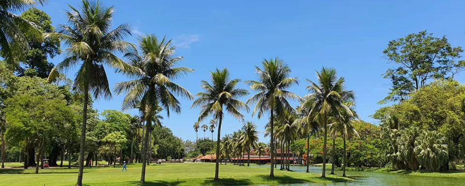 POR UM TERRITÓRIO URBANO, SUSTENTÁVEL E INCLUSIVO (AP4)